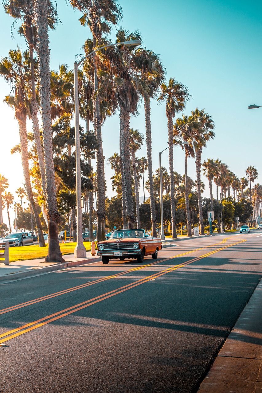 summer, sun, beach, nature, vacations, heaven, sunset, antique car, automobile, road, america, palm trees, tropical, blue, to travel